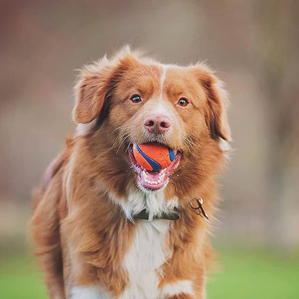 Chuckit! Fetch Pack - Chuck It Dog Ball Launcher 18 M, Tennis Ball, Ultra Rubber Ball and Ultra Fetch Stick Dog Gifts, Dog Toys Indestructible Dog Ball Thrower Launcher