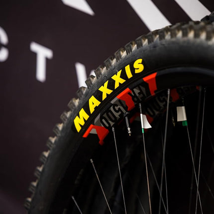 Maxxis Minion DHR II EXO/TR/SkinWall 60 TPI Tubeless 29´´ X 2.40 MTB Tyre 29´´ x 2.40