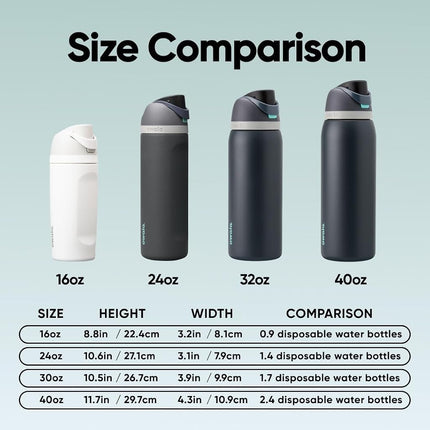 Owala FreeSip Insulated Stainless Steel Water Bottle, 945ml, Foggy Tide