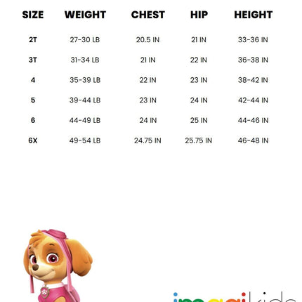 Paw Patrol Girls Hooded Cosplay T-Shirt Dress and Leggings Outfit Set Toddler to Little Kid Sizes (2T - 7-8), Teal / Everest, 3T