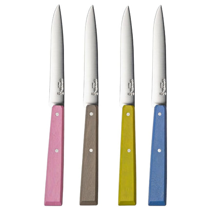 OPINEL No. 125 Table Knives Set, 4-Piece Set, High-Carbon Steel Dinner Knives for Parties, Entertaining, or Everyday Use, Painted Handles, Made in France (Countryside)