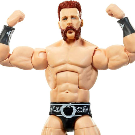 WWE Action Figures, WWE Sheamus Figure with Accessories, Collectible Gifts