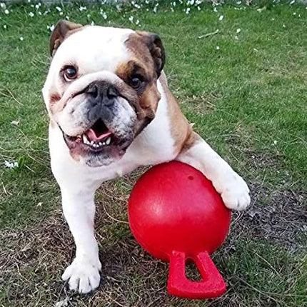 Jolly Pets Tug-n-Toss Dog Toy, 15 cm, Red