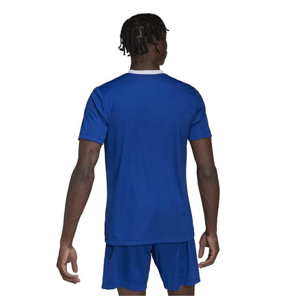 adidas Men's Entrada 22 Jersey, Team Royal Blue, Large/Tall + 3"