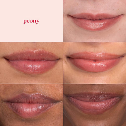 Burt's Bees Peony Lip Shimmer, 100% Natural Origin, Peppermint Oil