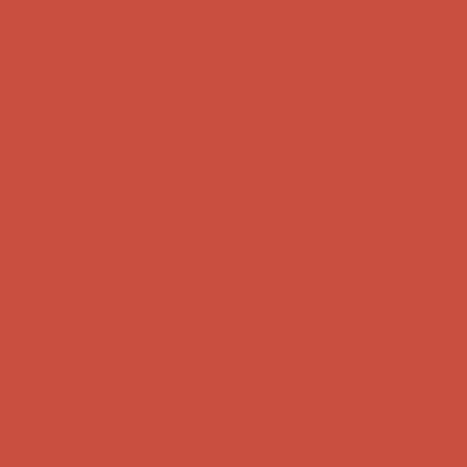 Winsor & Newton BrushMarker - Burnt Orange