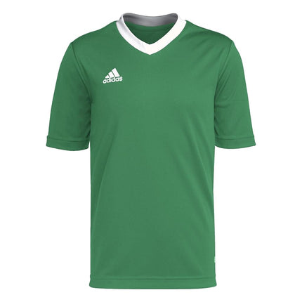adidas Kids' Entrada 22 Jersey, Team Green/White, 