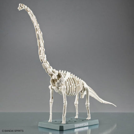 Bandai Hobby Plannosaurus Brachiosaurus Model Kit