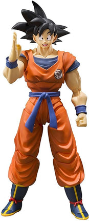TAMASHII NATIONS Bandai BDIDB208778 Articulated Figure, Manga, Anime, Multicolor