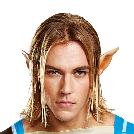 DISGUISE Legend of Zelda Link Breath of The Wild Mens Deluxe Fancy Dress Costume Medium Blue