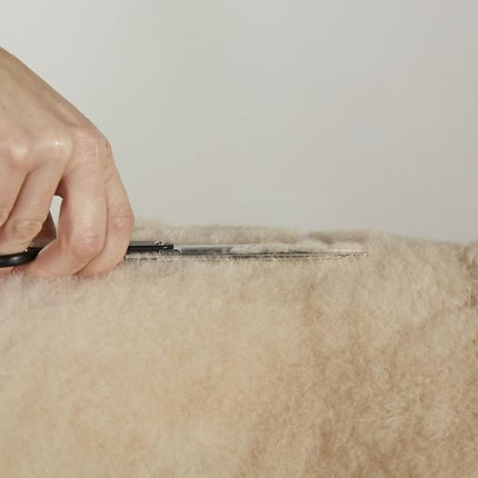 Andis Straight Shears, Right-Handed, Professional Dog and Cat Grooming