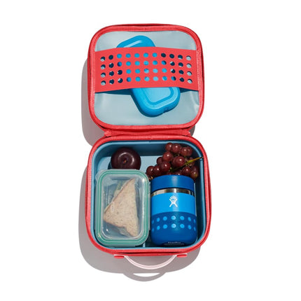 Hydro Flask Kids Small Insulated Lunch Box Goji
