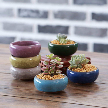 My Decor Succulent Plant Pot, 12 Pcs 2.5 Inch Ceramic Ice Crack Cactus Plant Pot/Flower Pot/Container/Planter