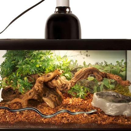 zoomed Repti Bark, 4.4 Litre