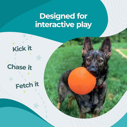 Jolly Pets Bounce-N Play Dog Toy, 15 cm, Orange
