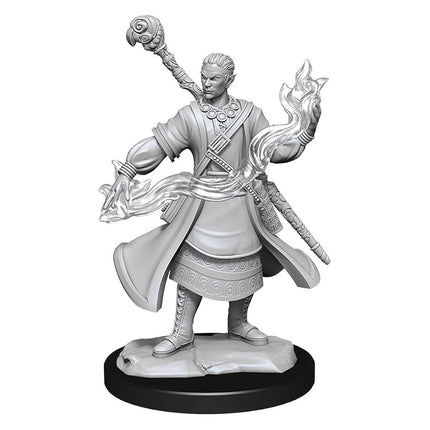 D&D Nolzur's Marvelous Unpainted Miniatures (W14) Half-Elf Wizard Male