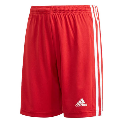 adidas boys Squad 21 Shorts Team Power Red/White X