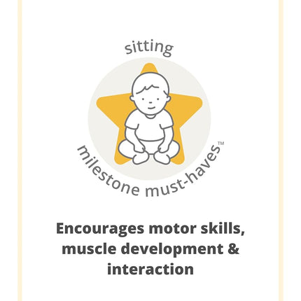 Skip Hop Tummy Time & Sitting Play Cause and Effect Musical Development Child Toy with 12 Animal Sounds, Lights, Music and 6 Activities, Geometric Wonders 2 in 1 Striking Bank