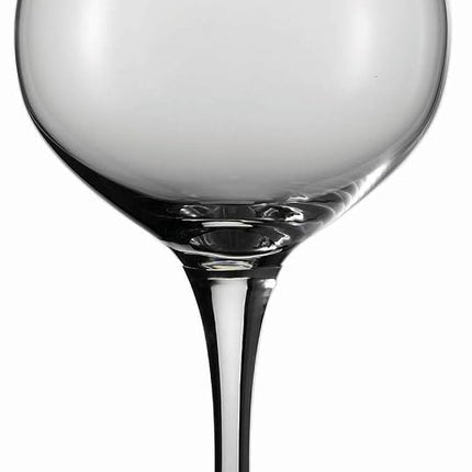 Schott Zwiesel Tritan Crystal Glass Mondial Stemwa