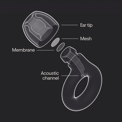 Loop Experience 2 Ear Plugs - Stylish Certified Hearing Protection