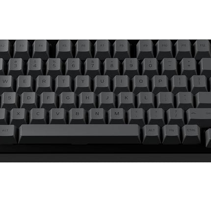 GLORIOUS GPBT Keycaps Cherry Profile (Black Ash)