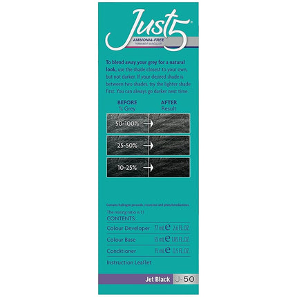 Just 5 Women's 5 Minute Permanent Hair Color, Jet Black