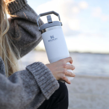 STANLEY IceFlow Stainless Steel Tumbler with Straw - Vacuum Insulated Water Bottle for Home, Office or Car - Reusable Cup with Straw Leak Resistant Flip - Cold for 12 Hours or Iced for 2 Days (Polar)
