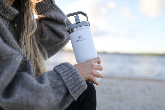 STANLEY IceFlow Stainless Steel Tumbler with Straw - Vacuum Insulated Water Bottle for Home, Office or Car - Reusable Cup with Straw Leak Resistant Flip - Cold for 12 Hours or Iced for 2 Days (Polar)
