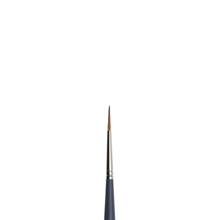 Winsor & Newton 5011202 Professional Watercolour Brush, Painting Brush for Watercolour Paints with Synthetic Fibres, Ergonomic Handle, Durable and Dimensionally Stable, Short Handle, Round Brush