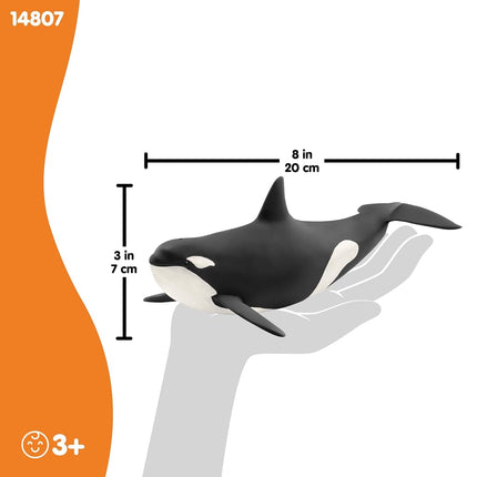 Schleich Wild Life - Killer Whale Orca Toy Figurine - Kids Ages 3+ | 14807