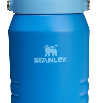 Stanley IceFlow 2.0 Flip Straw Tumbler with Handle