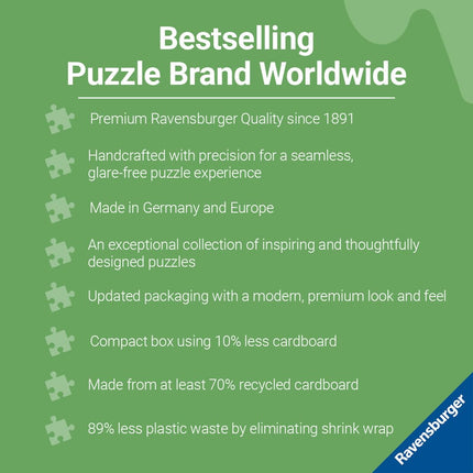 Ravensburger Puzzle Moment: Splashy Fish Tiles 300 Piece Jigsaw Puzzle for Adults - 12001328 - Handcrafted Tooling, Made in Germany, Every Piece Fits Together Perfectly