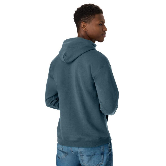 Hanes Men's Ecosmart Hoodie, Midweight Fleece Sweatshirt, Pullover Hooded Sweatshirt for Men, Metallic Teal, L