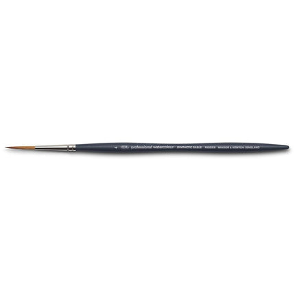 Winsor & Newton Professional Watercolour Brush, Sy