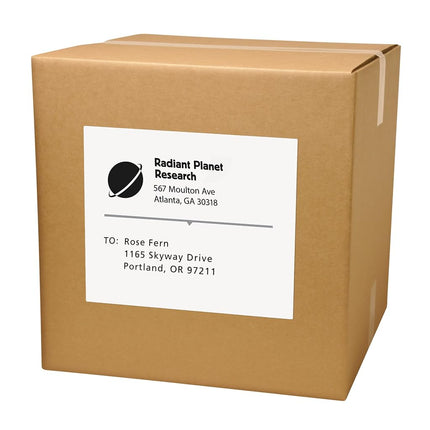 Self-Adhesive Full-Sheet Shipping Labels for Copiers, 8-1/2 x 11, White, 100/Box