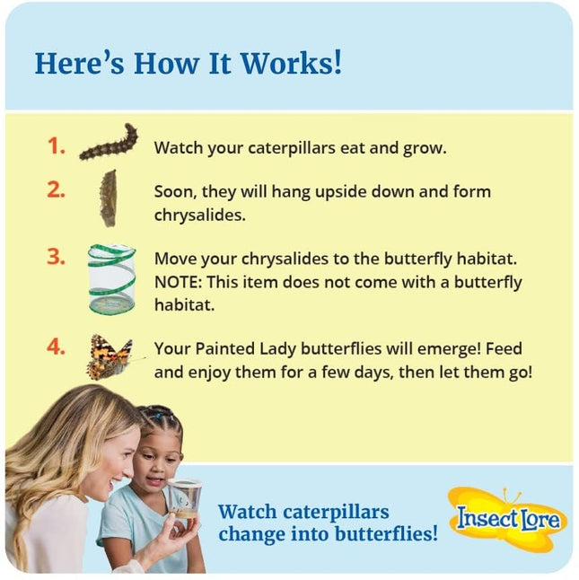 Insect Lore Two Cups of Live Caterpillars with Butterfly Life Cycle Figurines | Butterfly Habitat or Kit Refill | Painted Lady Butterflies