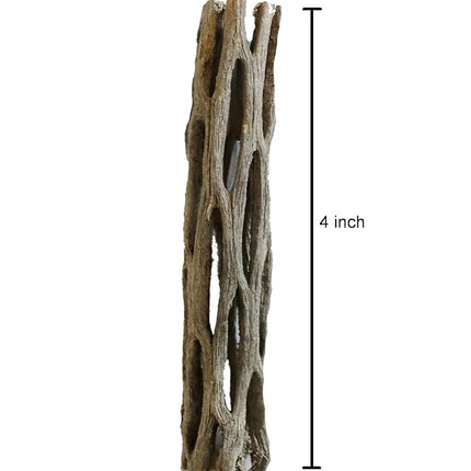 Natural Cholla Wood for Aquarium Decoration Shrimp and Fish Tank (4 Inch (5 Pack))