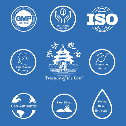 Treasure of the East, Free and Easy Wanderer, Xiao Yao Wan | 100 Capsules