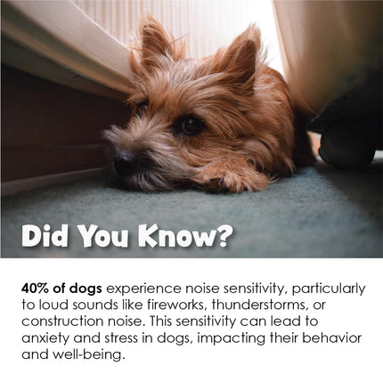 Tranquil Tabs For Dogs