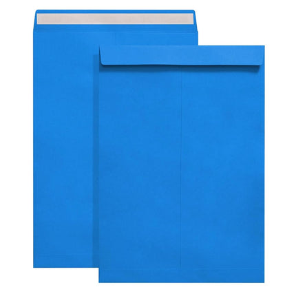 Tanshuqin 9" x 12.75" Dark Blue Self-Seal Catalog 