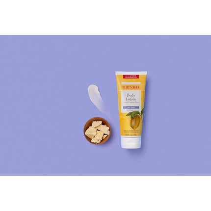 Burts Bees Cocoa & Cupuacu Butters Body Lotion, 6 oz