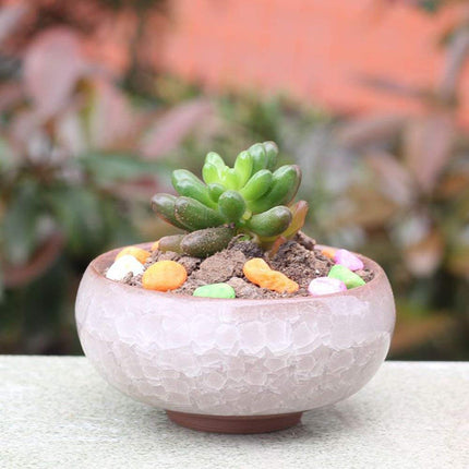 My Decor Succulent Plant Pot, 12 Pcs 2.5 Inch Ceramic Ice Crack Cactus Plant Pot/Flower Pot/Container/Planter
