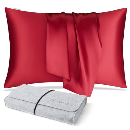 DISANGNI 100% Natural Mulberry Silk Pillow case fo