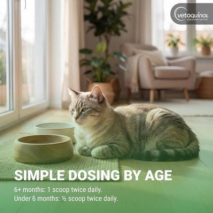 Vetoquinol Viralys Daily L-Lysine Powder for Cats and Kittens, Fish Flavored Lysine Supplement for Cats and Kittens to Support Immune Health, Normal Eye Function and Respiratory Health, 100gm