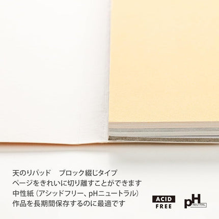 Clairefontaine - Ref 96018C - Pastelmat Pastel Card Pad No.1 (12 Sheets) - 360gsm Card - 30 x 40cm - Assorted Colours - Specially Formulated For Use With Pastels