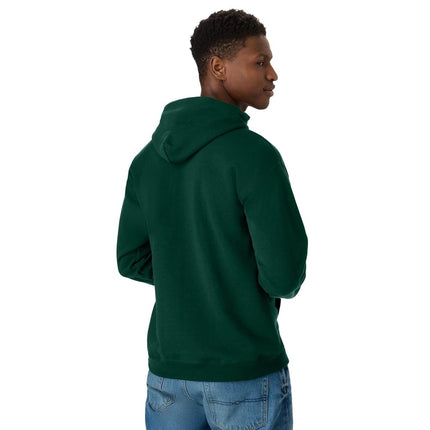 Hanes mens Ecosmart Hoodie, Midweight Fleece Sweatshirt, Pullover Hooded Sweatshirt for Men, Deep Forest, S
