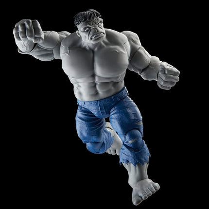 Marvel Hasbro Legends Series Gray Hulk and Dr. Bruce Banner, Avengers 60th Anniversary Collectible 6 Inch Action Figures