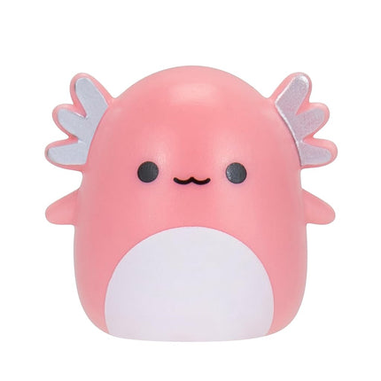 Squishmallows Squish a Longs 25 Pak Figures