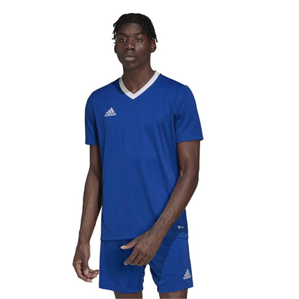adidas Men's Size Entrada 22 Jersey, Team Royal Bl