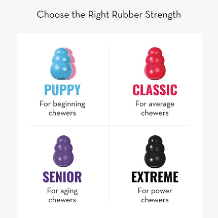 KONG - Puppy Toy Natural Teething Rubber - Fun to Chew, Chase & Fetch - For Small Puppies (Colour May Vary)